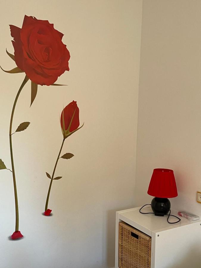 Apartamento Beatriz Cuenca  Exterior foto